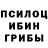 Галлюциногенные грибы мухоморы Asmera Ertra