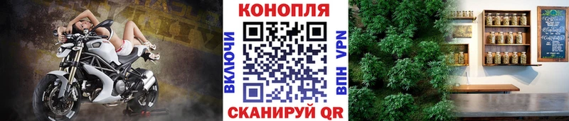 Конопля MAZAR  Чехов 